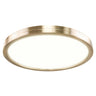 Matteo Ceiling Mount M20912CG