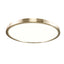 Matteo Ceiling Mount M20916CG