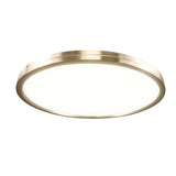 Matteo Ceiling Mount M20916CG