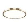 Matteo Ceiling Mount M20916CG