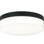 Matteo Ceiling Mount M21111CG