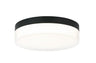 Matteo Ceiling Mount M21111CG