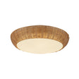Alora Mood Merida 17-in Flush Mount