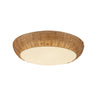 Alora Mood Merida 17-in Flush Mount