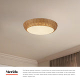 Alora Mood Merida 17-in Flush Mount