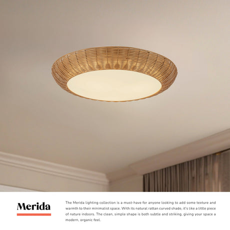 Alora Mood Merida 21-in flush mount collection graphic with installed ceiling light and description