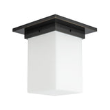Alora Mineral 8-in (8-in Width) Flush Mount