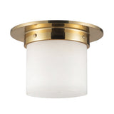 Alora Mineral 5-in (8-in Dia.) Flush Mount