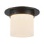 Alora Mineral 5-in (8-in Dia.) Flush Mount