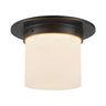 Alora Mineral 5-in (8-in Dia.) Flush Mount