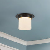 Alora Mineral 5-in (8-in Dia.) Flush Mount
