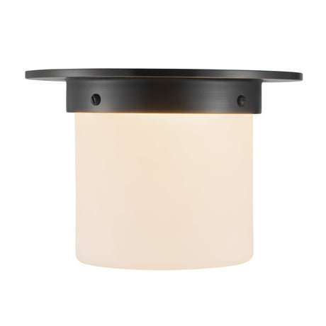 Alora Mineral 5-in (8-in Dia.) Flush Mount