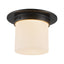 Alora Mineral 5-in (8-in Dia.) Flush Mount