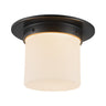 Alora Mineral 5-in (8-in Dia.) Flush Mount