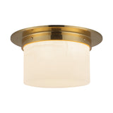 Alora Mineral 5-in (11-in Dia.) Flush Mount