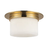 Alora Mineral 5-in (11-in Dia.) Flush Mount