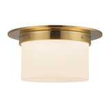 Alora Mineral 5-in (11-in Dia.) Flush Mount