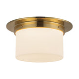 Alora Mineral 5-in (11-in Dia.) Flush Mount