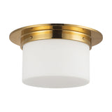 Alora Mineral 5-in (11-in Dia.) Flush Mount