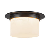 Alora Mineral 5-in (11-in Dia.) Flush Mount