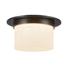 Alora Mineral 5-in (11-in Dia.) Flush Mount