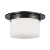 Alora Mineral 5-in (11-in Dia.) Flush Mount