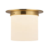 Alora Mineral 8-in (11-in Dia.) Flush Mount