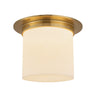 Alora Mineral 8-in (11-in Dia.) Flush Mount