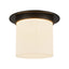 Alora Mineral 8-in (11-in Dia.) Flush Mount