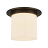 Alora Mineral 8-in (11-in Dia.) Flush Mount