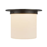 Alora Mineral 8-in (11-in Dia.) Flush Mount