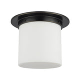 Alora Mineral 8-in (11-in Dia.) Flush Mount