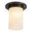 Alora Mineral 8-in (8-in Dia.) Flush Mount
