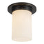 Alora Mineral 8-in (8-in Dia.) Flush Mount