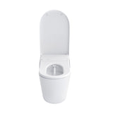 NEOREST LS Dual Flush Toilet - 1.0 GPF & 0.8 GPF