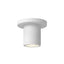 Kuzco Architectural Nordic 3-in (2-in Dia.) Exterior Ceiling
