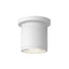 Kuzco Architectural Nordic 4-in (3-in Dia.) Exterior Ceiling