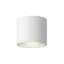 Kuzco Architectural Nordic 4-in (5-in Dia.) Exterior Ceiling