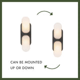 Alora Odin 14-in Wall/Vanity Light