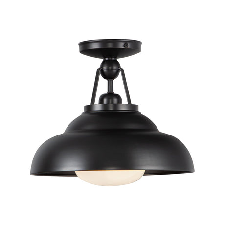 Alora Palmetto 12-in Semi-Flush Mount