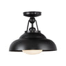 Alora Palmetto 12-in Semi-Flush Mount