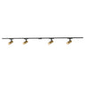 Kuzco Trilo Ceiling Kit - Paolo 2in 4-Head