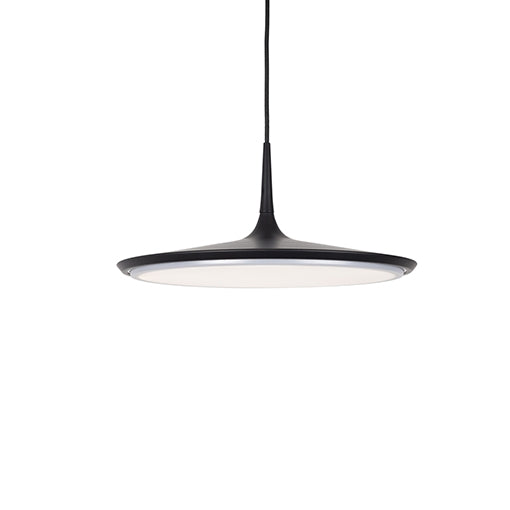 Disc PD46216