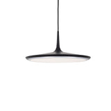 Disc PD46216