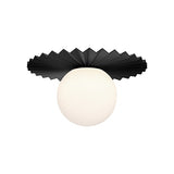 Plume FM501212