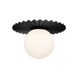 Plume FM501214