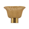 Alora Mood Rancho 14-in Wall/Vanity Light