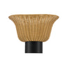 Alora Mood Rancho 14-in Wall/Vanity Light