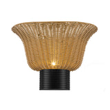 Alora Mood Rancho 14-in Wall/Vanity Light