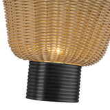 Alora Mood Rancho 14-in Wall/Vanity Light
